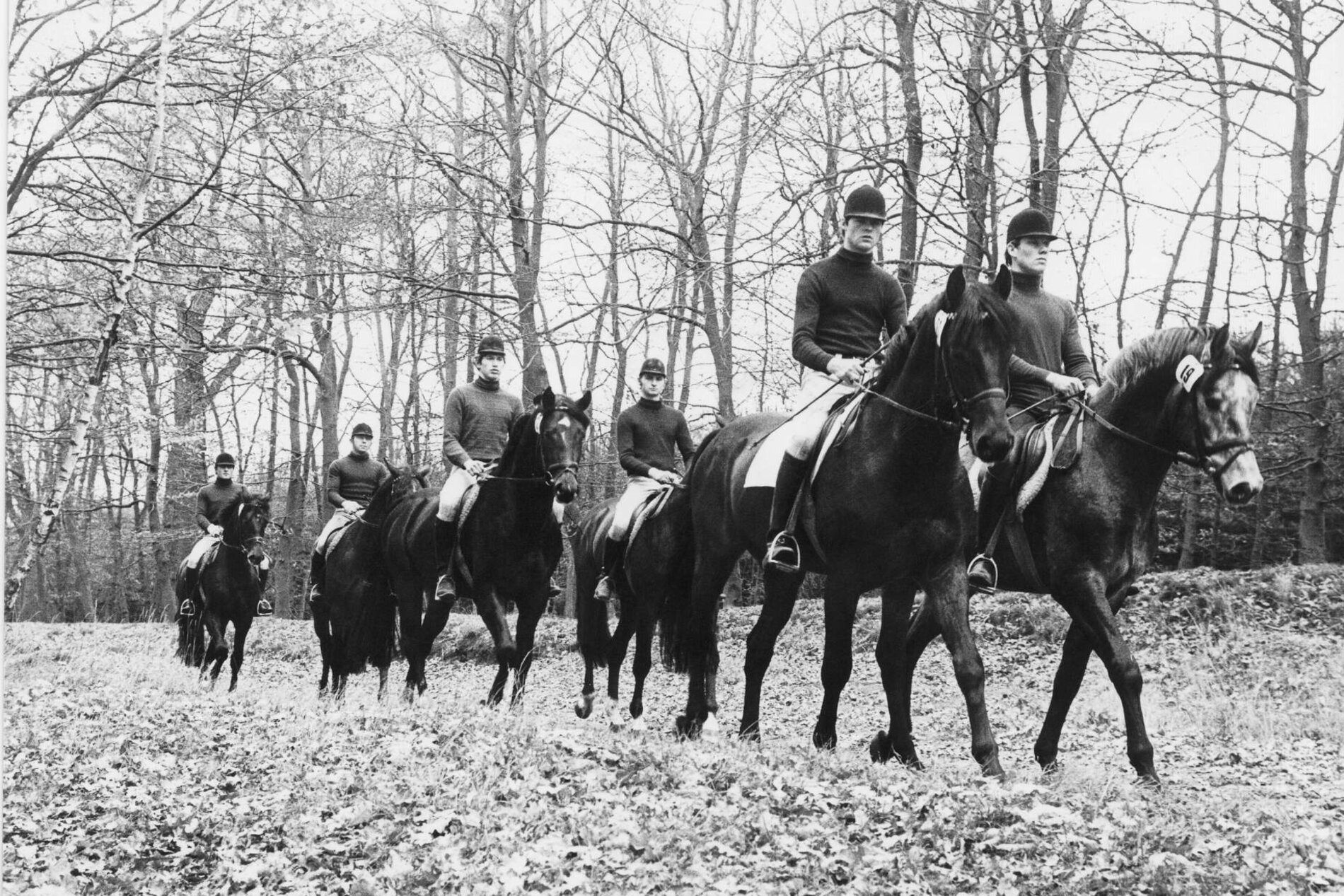 Abbildung: Historische Hengstleistungprüfung