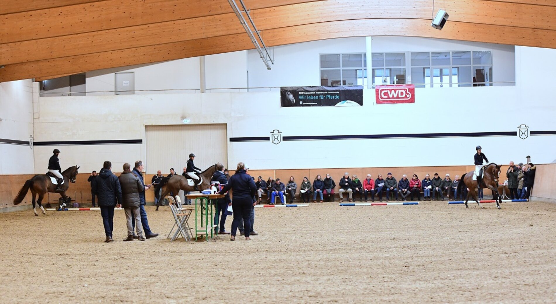 Stutenprüfung in Elmshorn