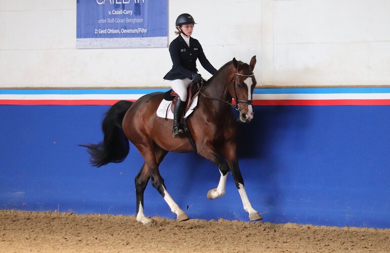 Nubia BB v. Keaton-Casall | © Janne Bugtrup