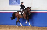 Nubia BB v. Keaton-Casall | © Janne Bugtrup