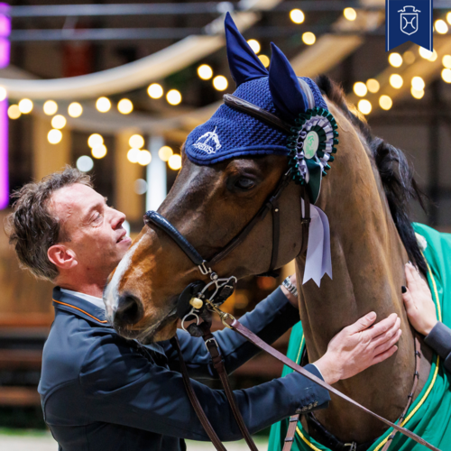 Klicken Sie hier, um  die Holsteiner Turnier-Erfolge einzusehen