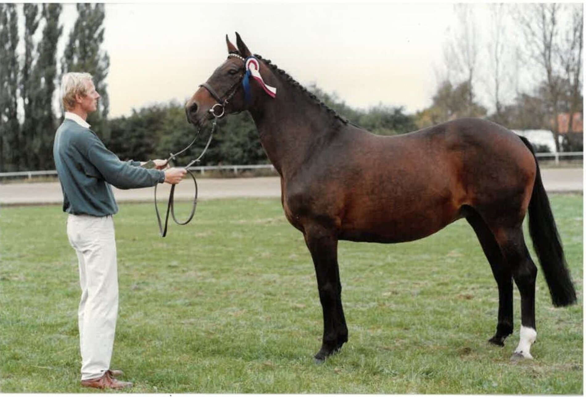 Gofine v. Ramiro-Ladykiller xx (Dr. Hieronymus Koerner, Wedel) 