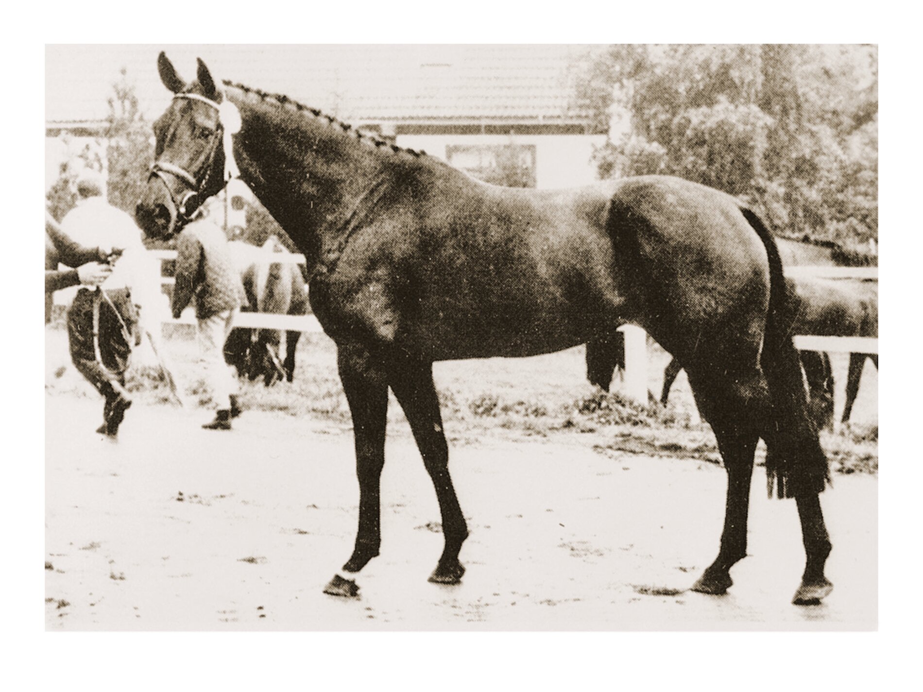 Waage I v. Calypso II-Royal Wash xx (Werner Brügge, Kasseedorf)