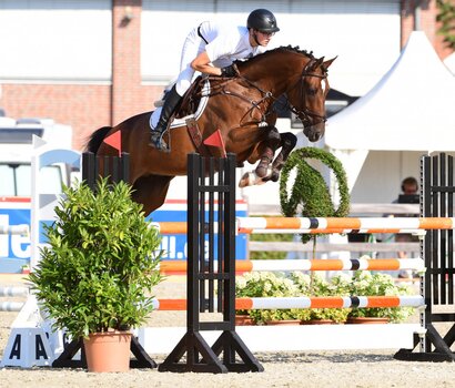 Dalido mit Jonte Hansen